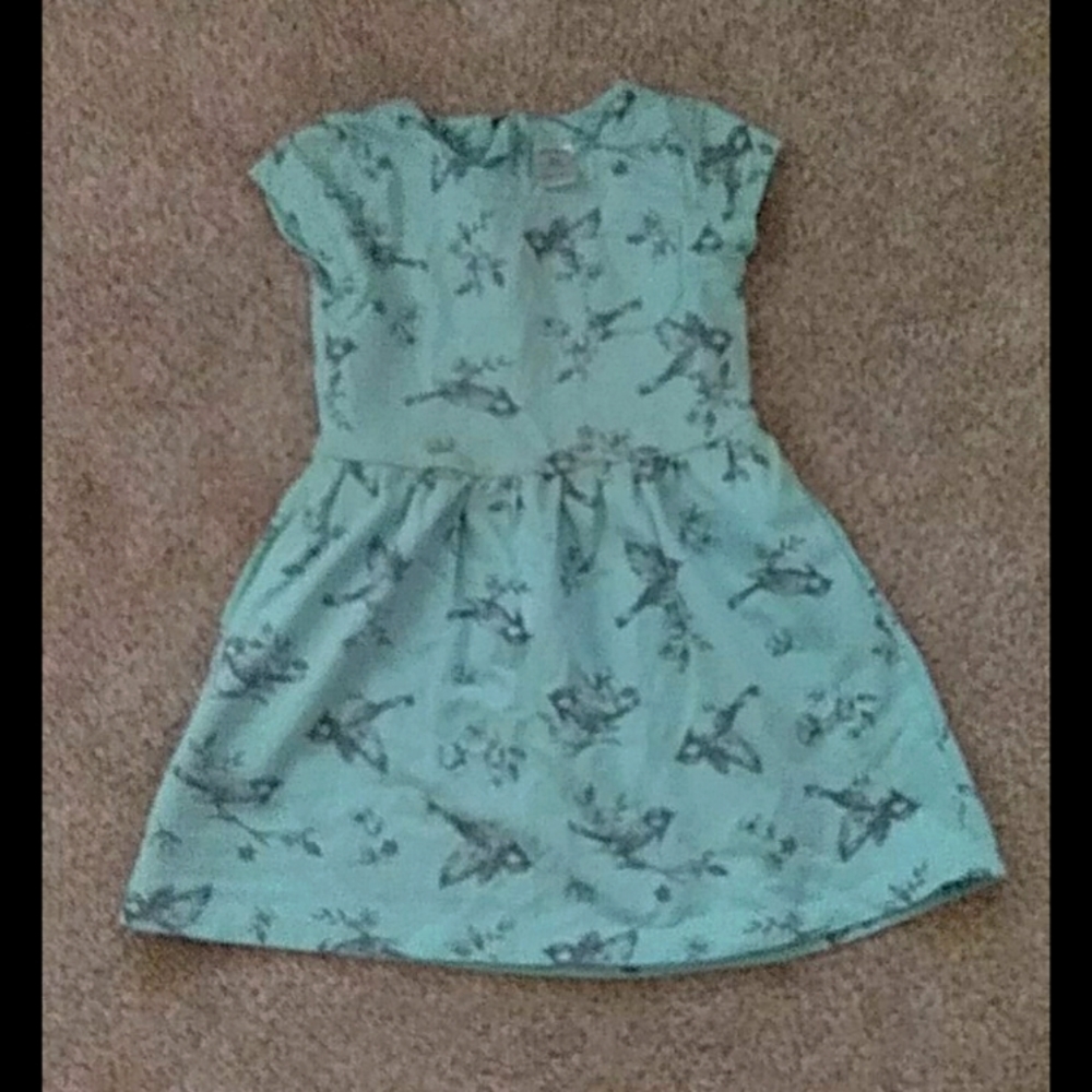 Kids size 4T dress. Teal with birds.